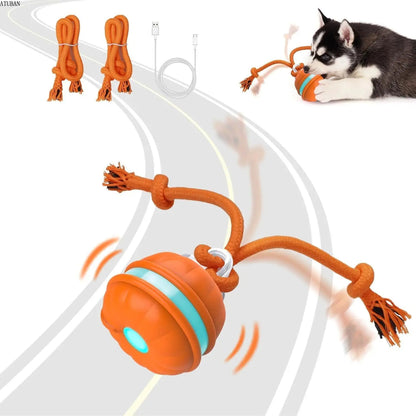 WoofBall™ - 2-in-1 Motion Activated Interactive Dog Ball