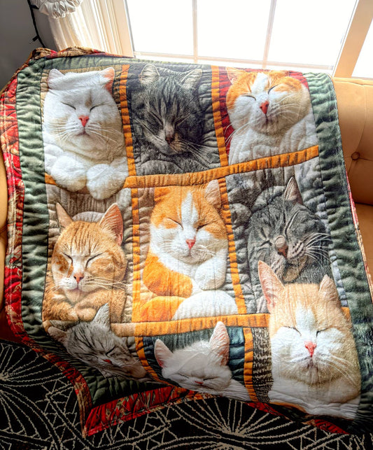 3D Cat Design Companion Blanket