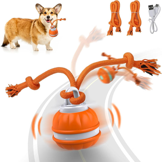 WoofBall™ - 2-in-1 Motion Activated Interactive Dog Ball